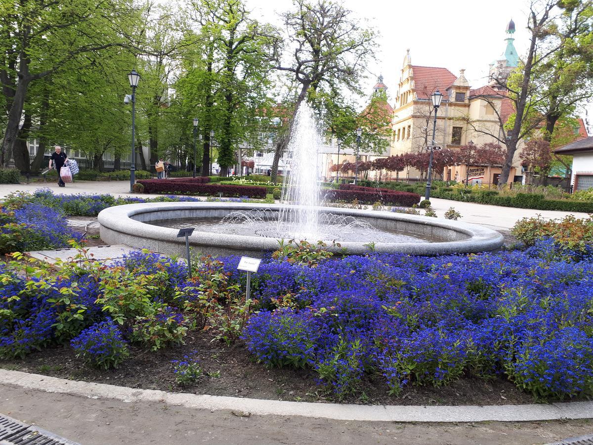 Kierunek Sopot Apartament Weranda Haffnera 32 Екстер'єр фото